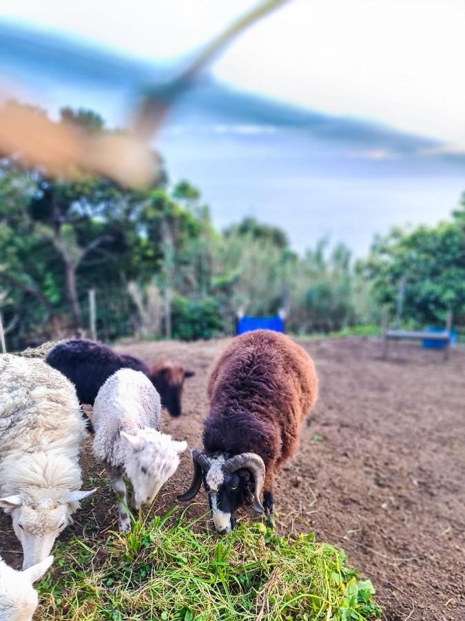 Quinta Do Caminho Da Igreja Ter-Casas De Campo Velas Bagian luar foto